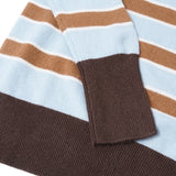 Classic Polo Striped Sweater_Baby Blue / Mocha